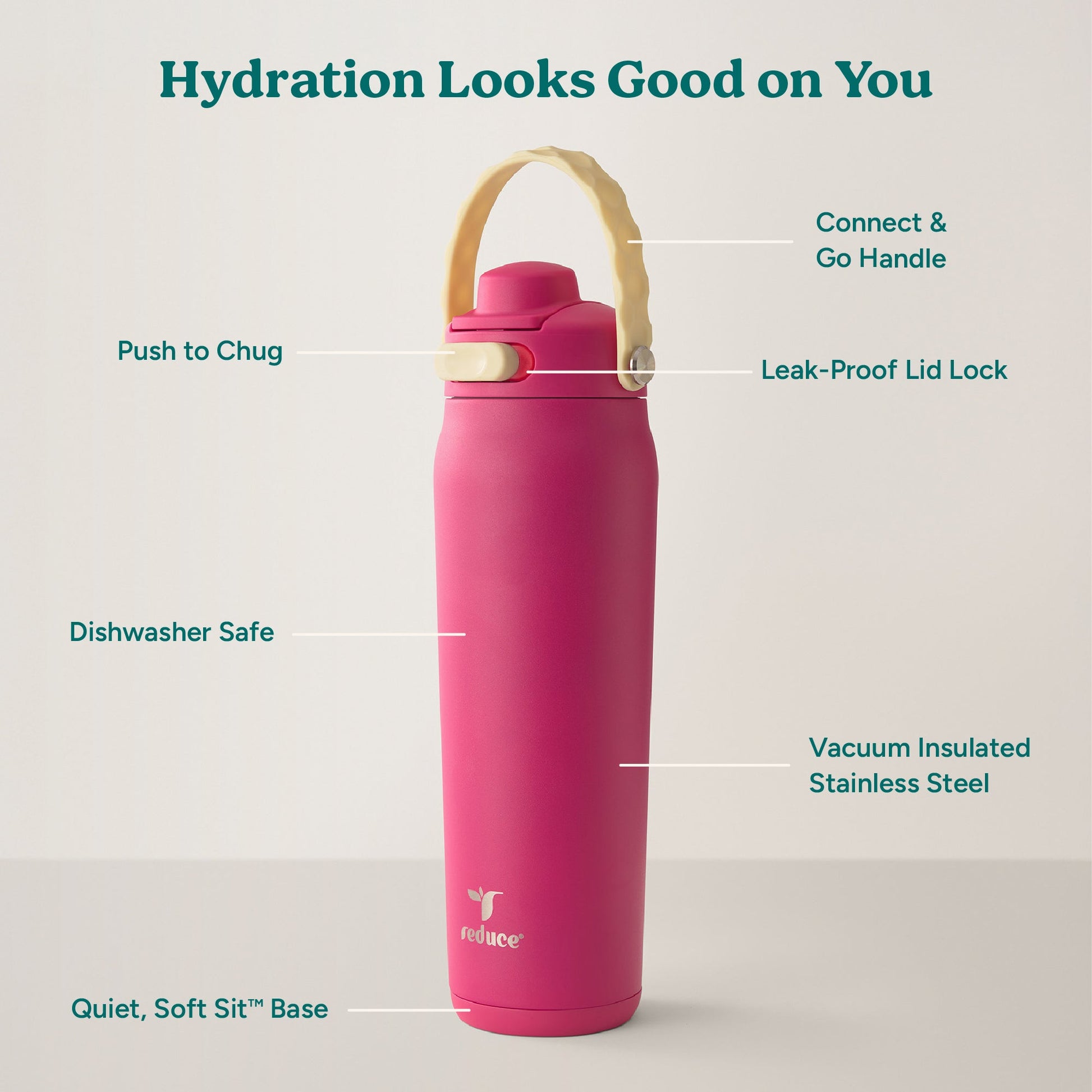 aura-26-oz-h3 Aura_26oz_DragonFruit_PDP_Infographic_2-03.jpg