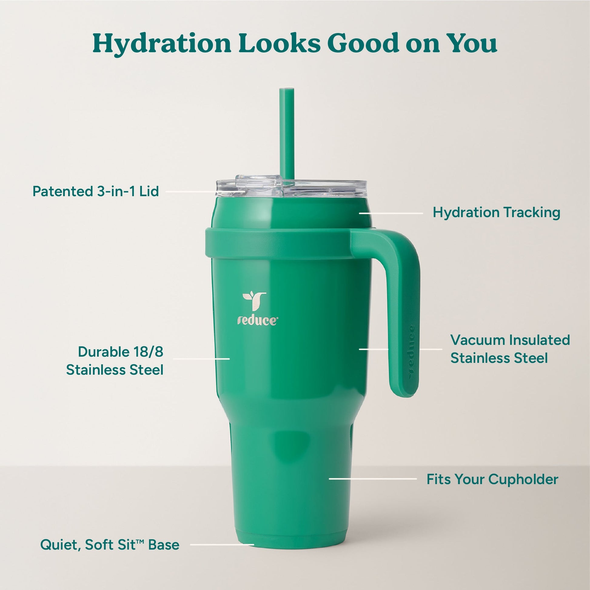 cold1-40-oz-h0 Cold1_40oz_PalmLeaf_Infographic_2.jpg