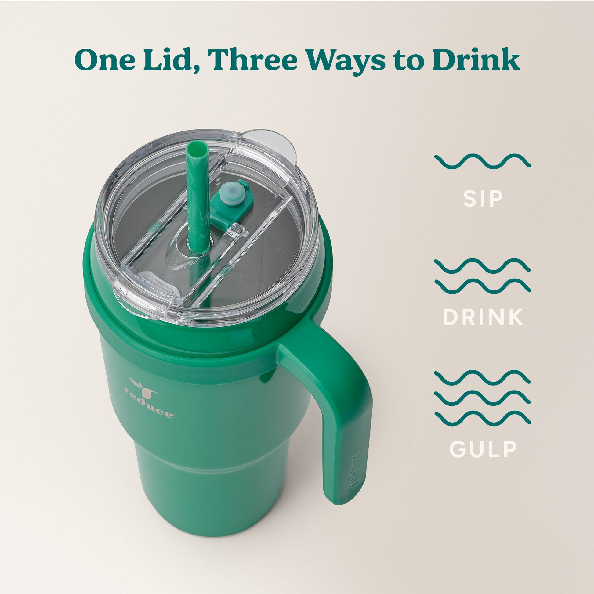 cold1-40-oz-h0 Cold1_40oz_PalmLeaf_Infographic_3.jpg