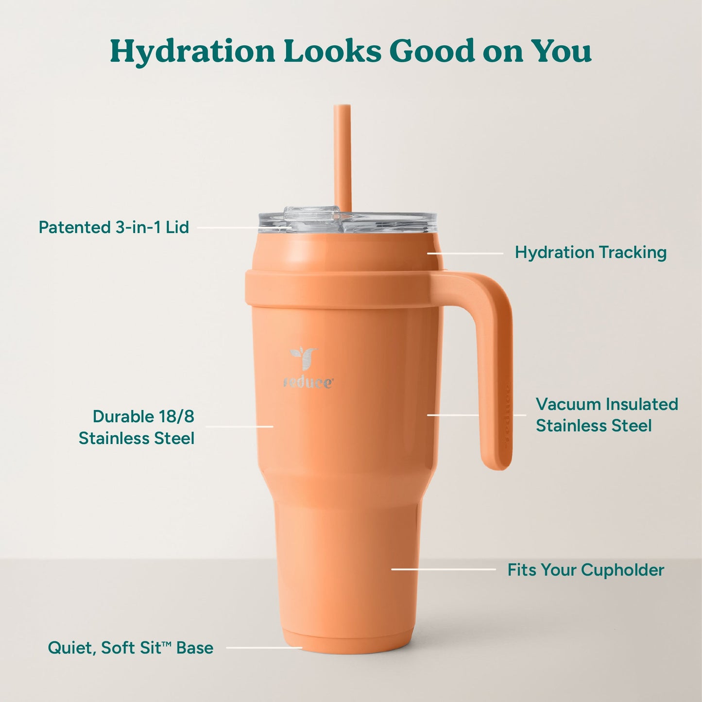 cold1-40-oz-h0 Cold1_40oz_Papaya_Infographic_2.jpg