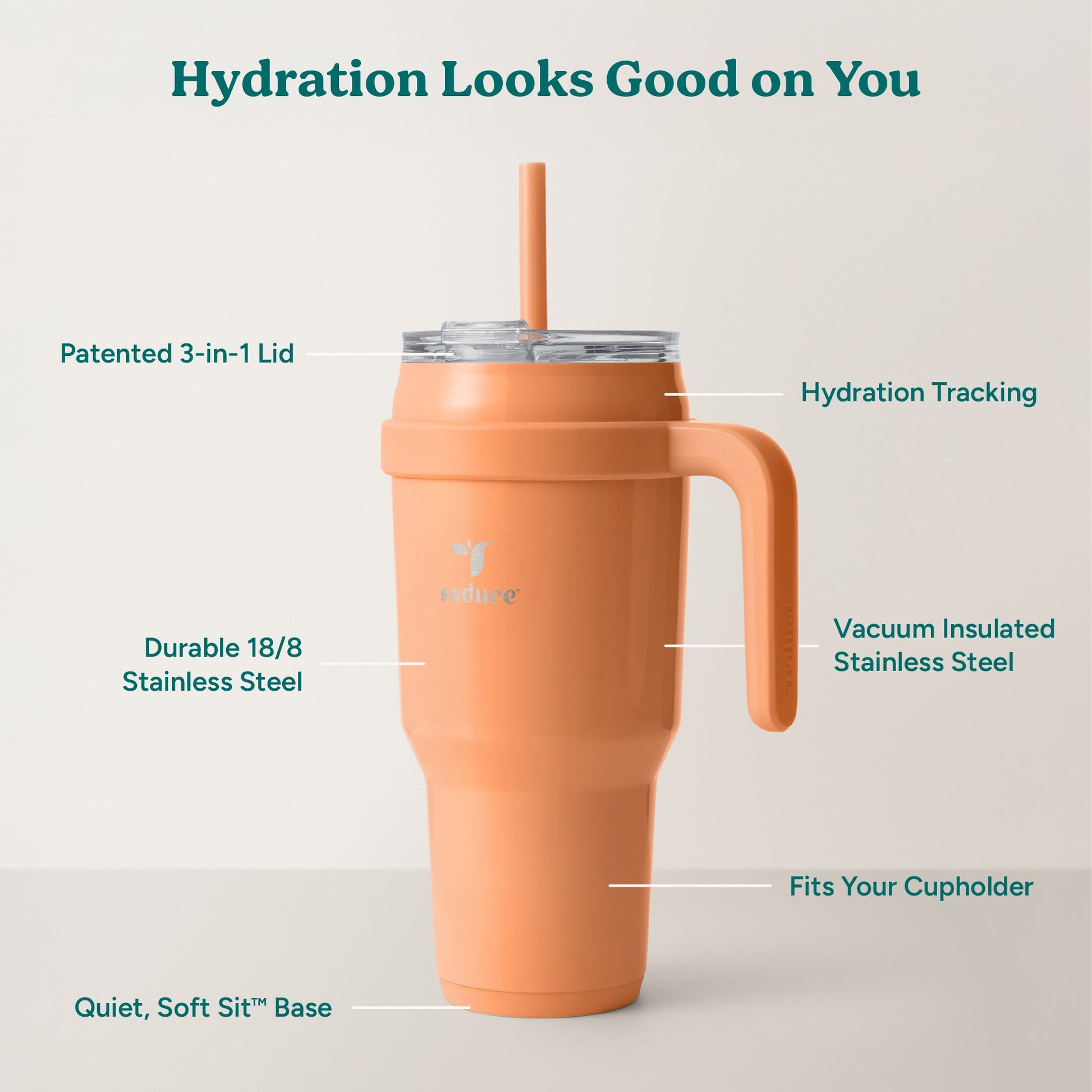 cold1-40-oz-h0 Cold1_40oz_Papaya_Infographic_2.jpg