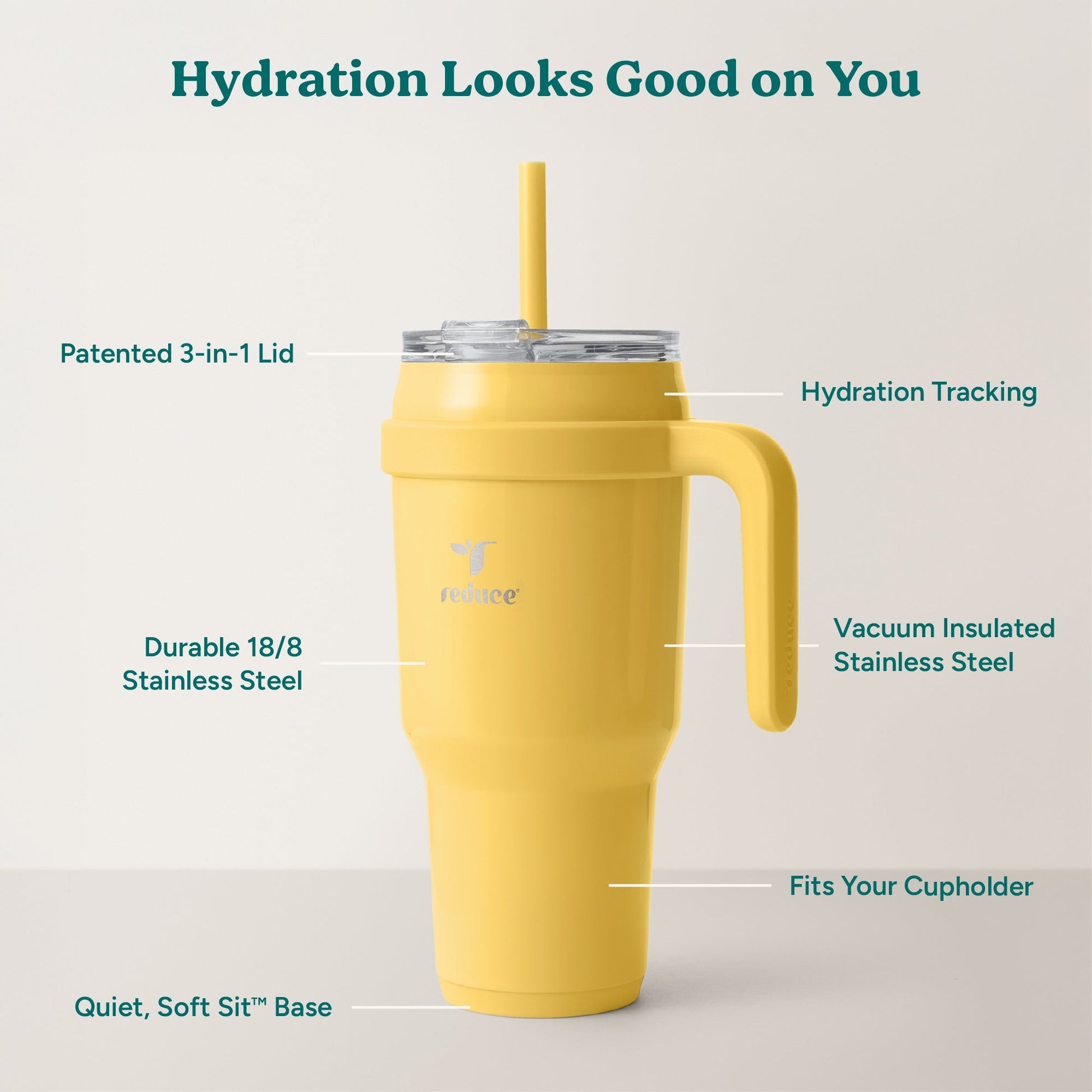 cold1-40-oz-h0 Cold1_40oz_Pineapple_Infographic_2.jpg