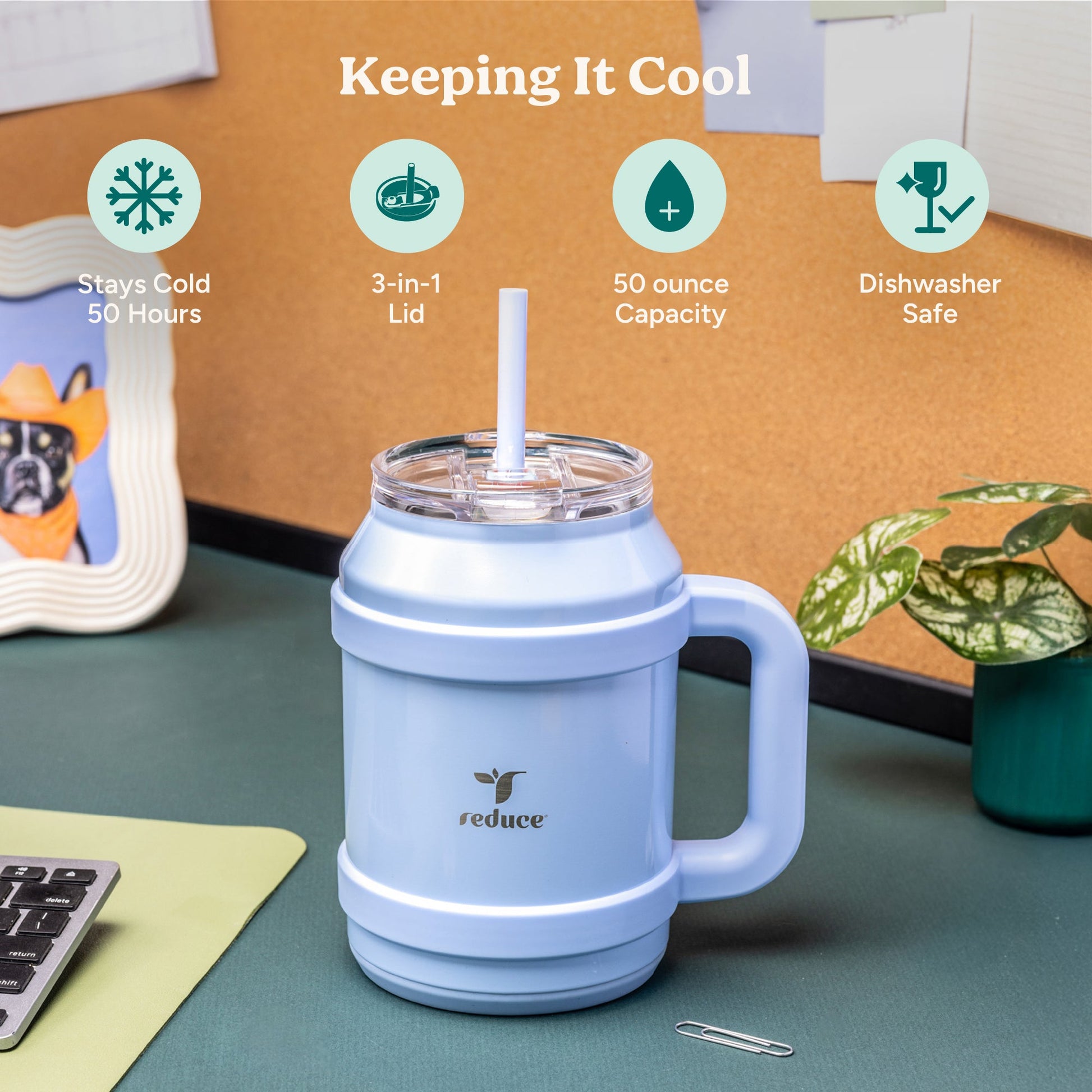 cold1-desktop-50-oz-r3 Cold1_50oz_Desktop_LilacBud_Infographic_1.jpg